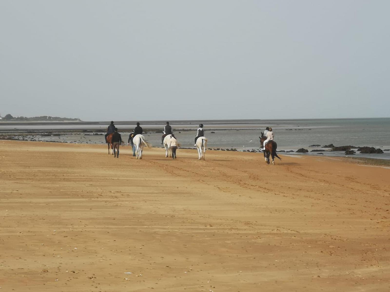 Sanlucarsun Apartamento Frente Al Mar Sanlúcar de Barrameda Kültér fotó