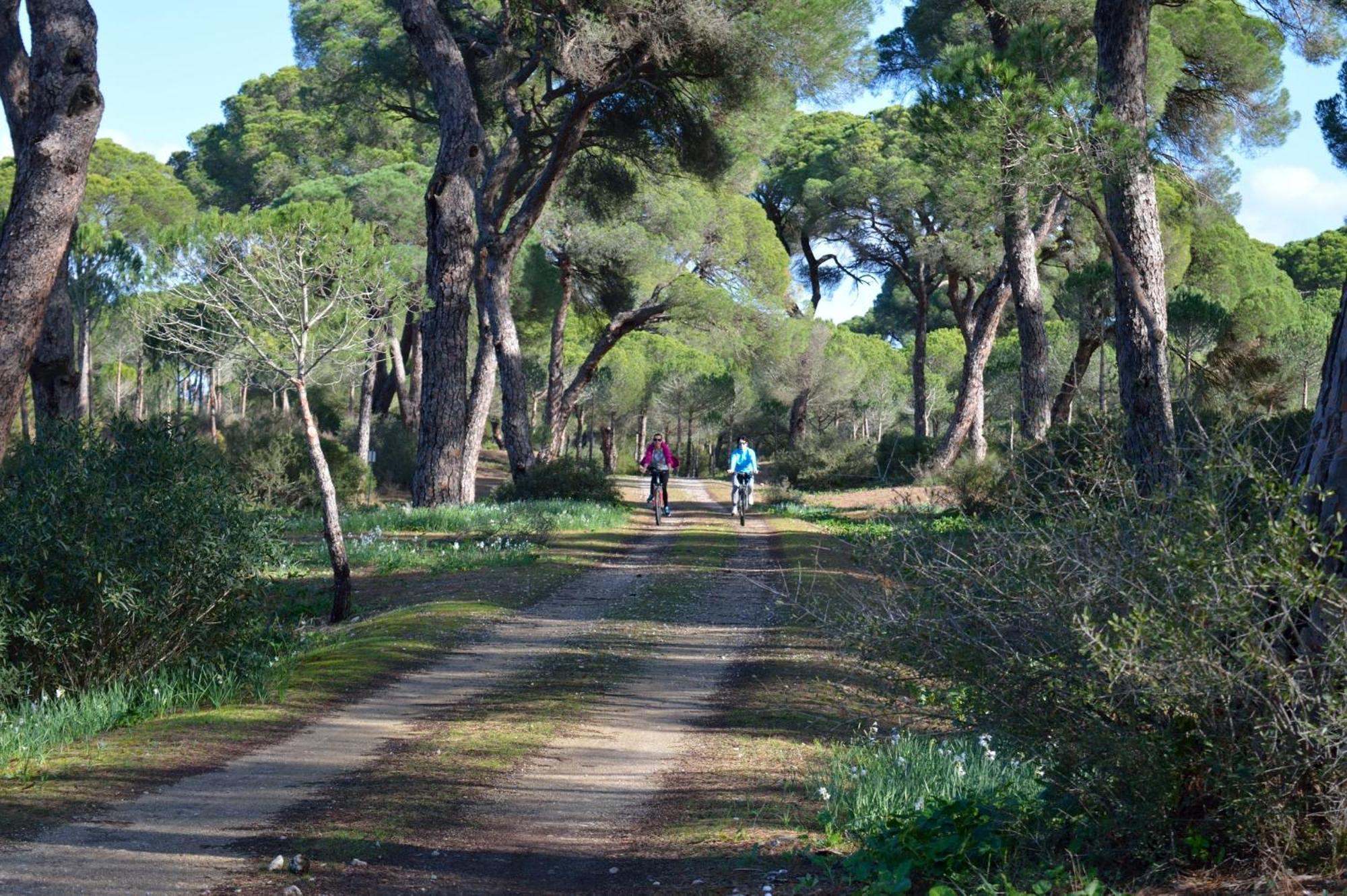 Sanlucarsun Apartamento Frente Al Mar Sanlúcar de Barrameda Kültér fotó