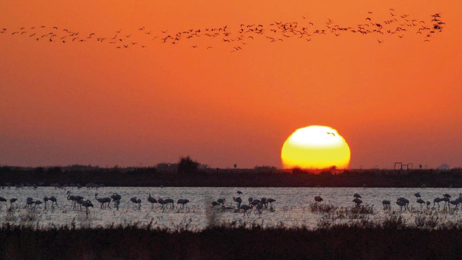 Sanlucarsun Apartamento Frente Al Mar Sanlúcar de Barrameda Kültér fotó